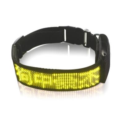 Retractable Pet LED Collar - Rechargeable LED Light-Up Dog Collar